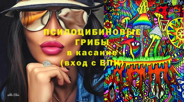 молекула духа Новодвинск