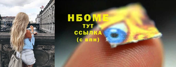 молекула духа Новодвинск