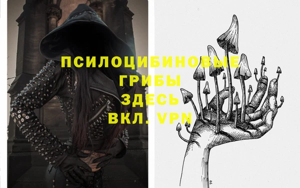 ECSTASY Каменка