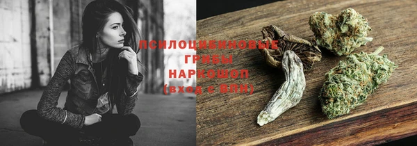 дмт Новозыбков