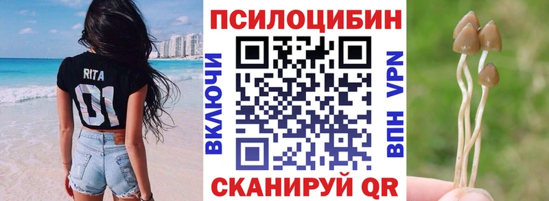 продажа наркотиков  Зея  ОМГ ОМГ   Галлюциногенные грибы Psilocybine cubensis 